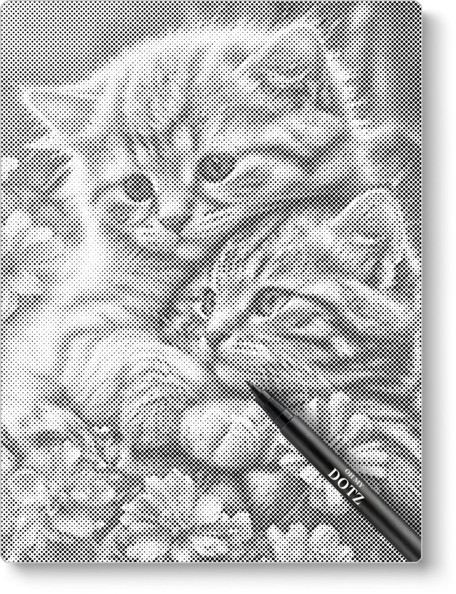 Knuffelende Kittens | Stippelschilderij | 40x50cm | Dot painting | Oh My Dotz | Dots stippen | Diamond painting & Schilderen op nummer alternatief | Sinterklaas | Kerst